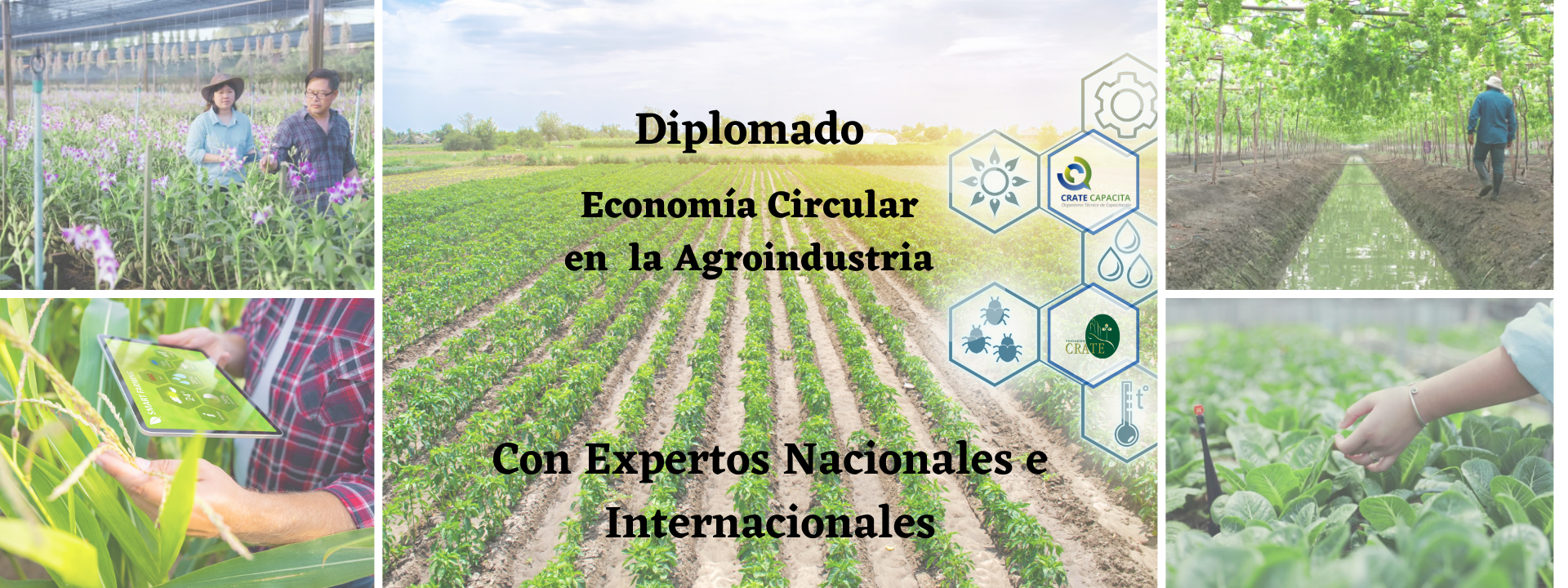 Copia de Diplomado Economía Circular en la Agroindustria